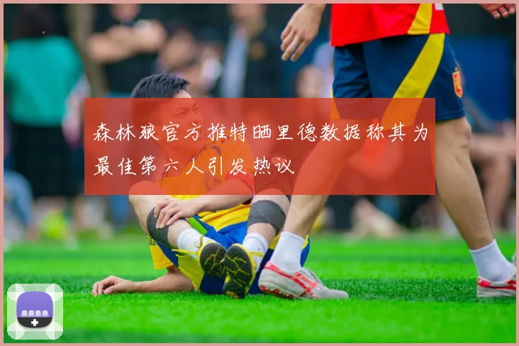 森林狼官方推特晒里德数据称其为最佳第六人引发热议